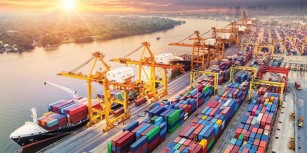 Import & Export Management